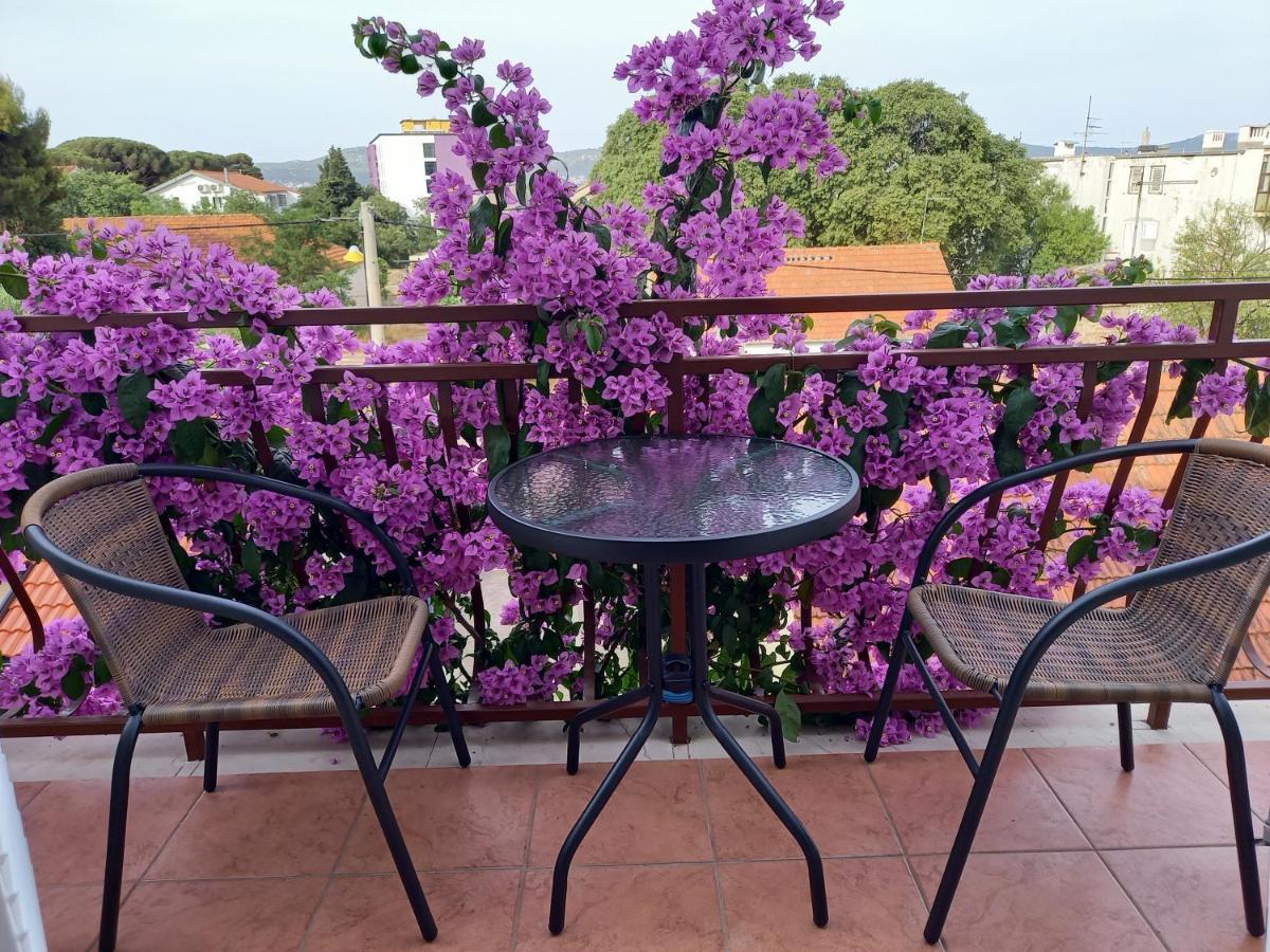 Apartmani Danica Biograd Na Moru Exterior foto